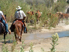 USA-Arizona-Hassayampa River Working Ranch